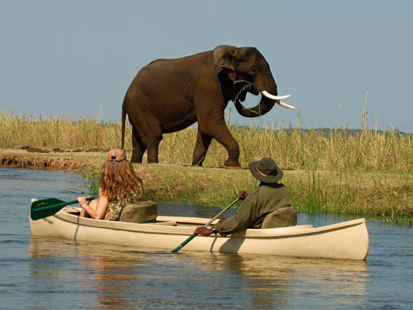 Zambia Gallery7