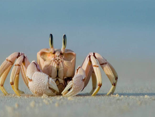 Mozambique Gallery7