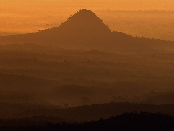 Mount Gorongosa rises to a height of 1 863m & is covered in verdant rainforest.