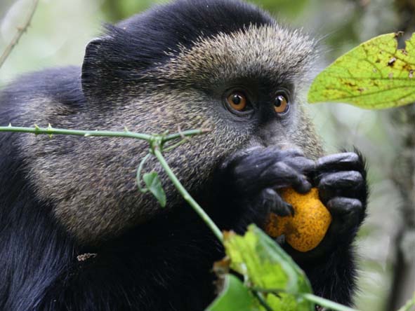 Rwanda Gallery2