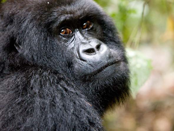 Rwanda Gallery4