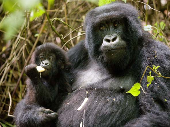 Rwanda Gallery5