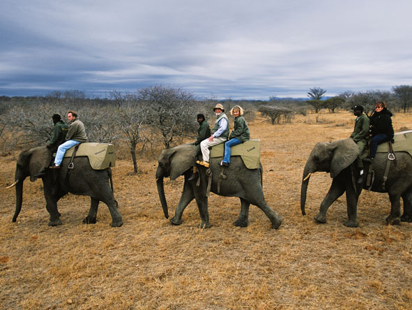 South Africa Family Holiday Gallery9