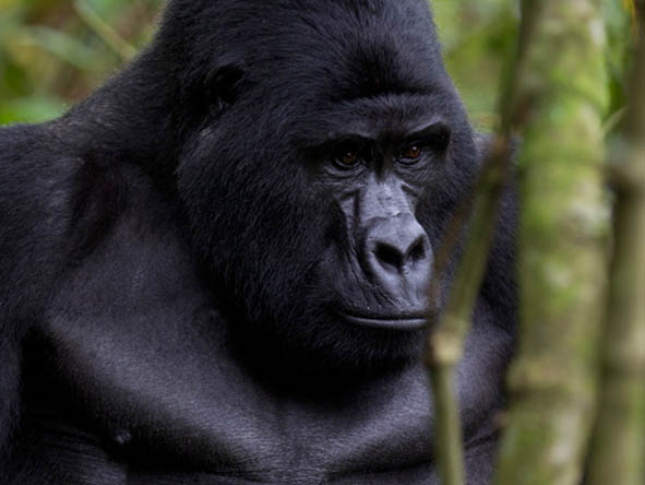 Uganda Gallery7