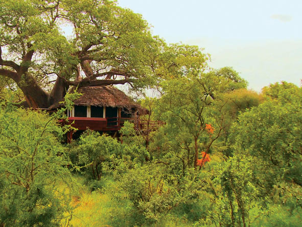 Scenic Tanzania Sky Safari