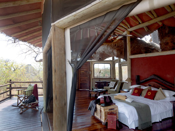 Scenic Tanzania Sky Safari