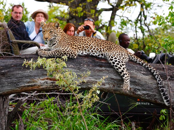 Kruger Luxury Gallery9