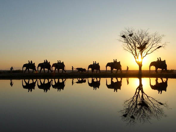 Kruger Luxury Gallery14