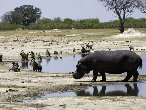 Zimbabwe Gallery11