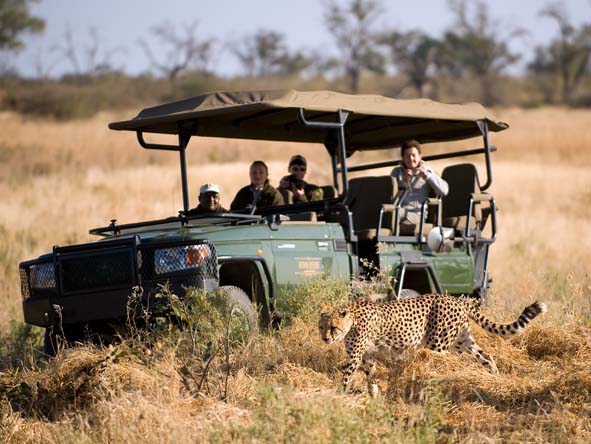 Botswana Family Gallery1