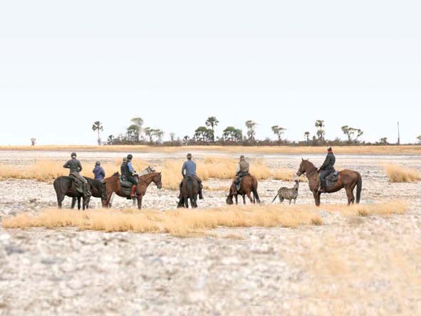 Botswana Family Gallery6