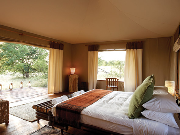 Sayari Camp