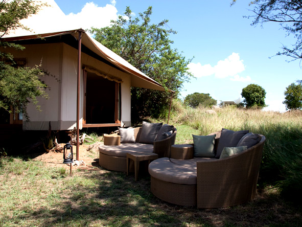 Sayari Camp