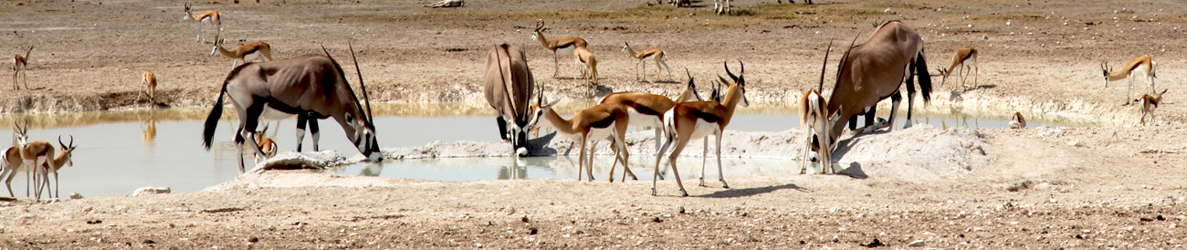 Diverse Namibia