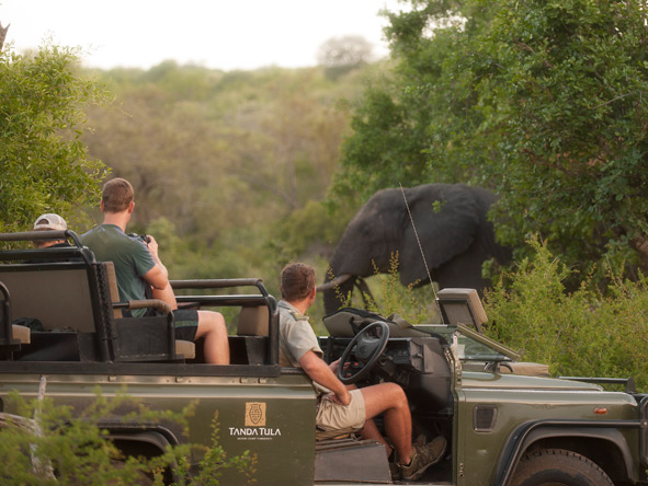 Tanda Tula Safari Club