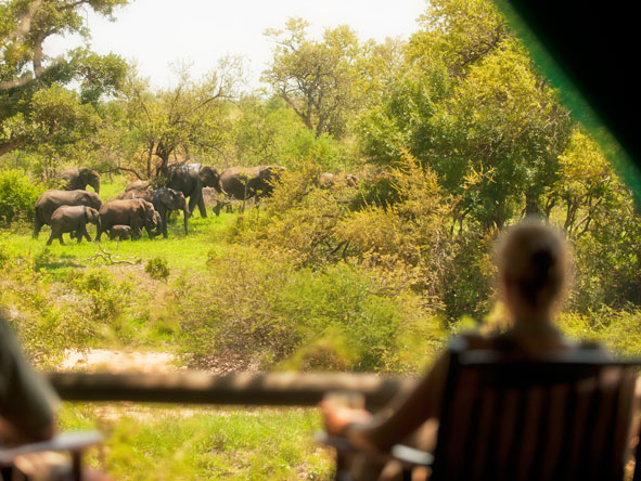 Tanda Tula Safari Club