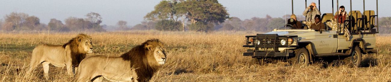Cape Town, Kruger & Vic Falls Explorer