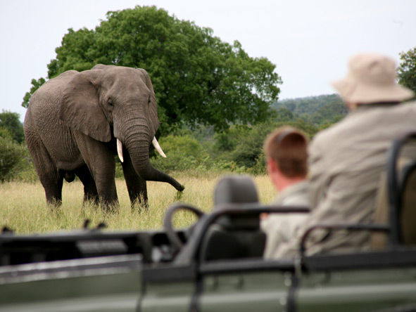 Kruger & Vic Falls Value Safari