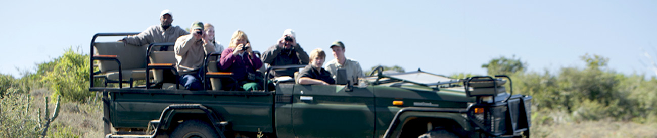 LUXURIOUS CAPE & GARDEN ROUTE JOURNEY