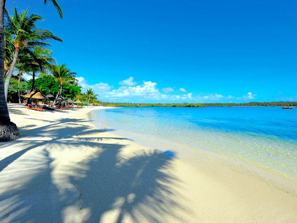 Wine & Dine in Madikwe & Mauritius