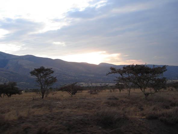 Ngorongoro Crater Gallery5