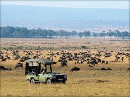 Migration Safaris