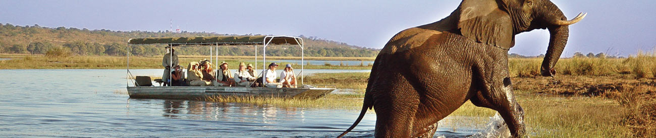 Chobe Safari Lodge
