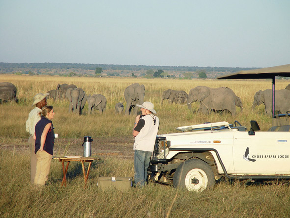 Chobe Safari Lodge