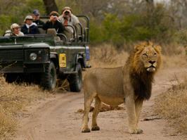 Big 5 Safaris
