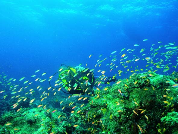 Quirimbas Archipelago Gallery 5