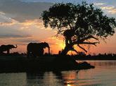 7 Day Explore Botswana