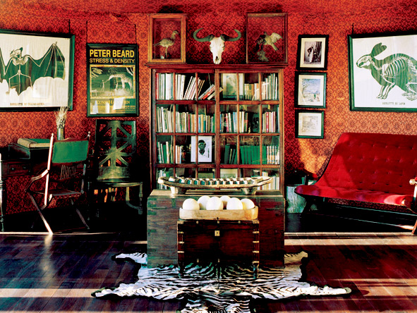 Jack's Camp - Library