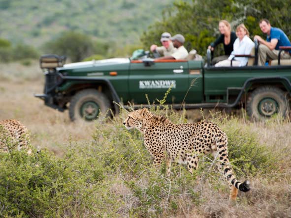 Eastern Cape Gallery 1