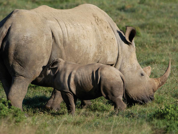 Eastern Cape Gallery 2