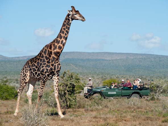 Eastern Cape Gallery 7
