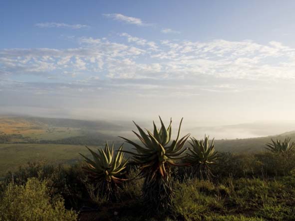 Eastern Cape Gallery 8