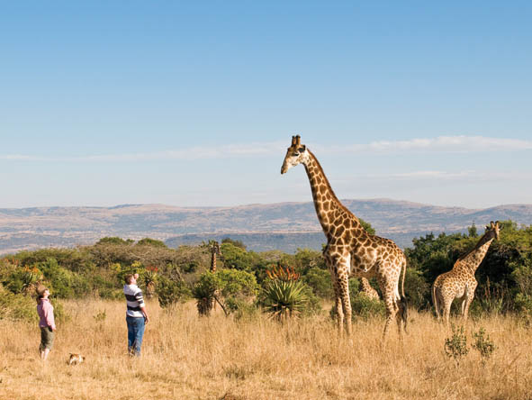 KwaZulu Natal Gallery7
