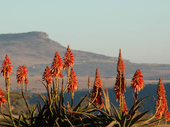 KwaZulu Natal Gallery8