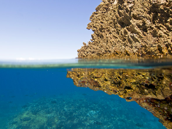 Selous Safari & Island Escape - Fantastic snorkelling