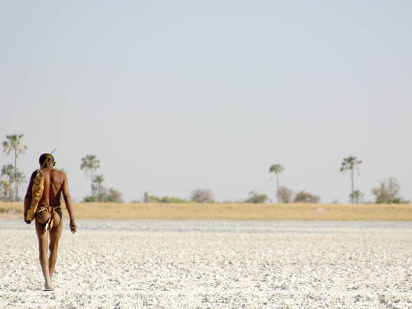 Botswana's stark white Makgadikagdi Pans contrast strongly with their surrounding golden grasslands.