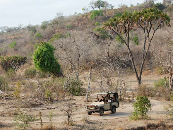 South Central Tanzania - game drive