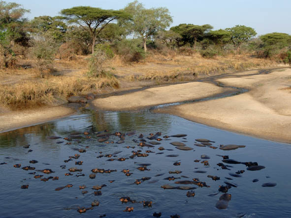 South Central Tanzania - dry season