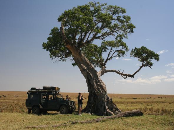 Amboseli & Mara Wilderness Safari