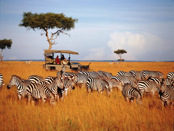 Sensational Samburu & Mara Escape