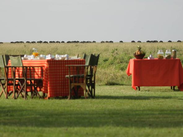 Scenic Kenya Safari Explorer