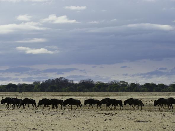 Zambia & Zimbabwe Wilderness Luxury Safari