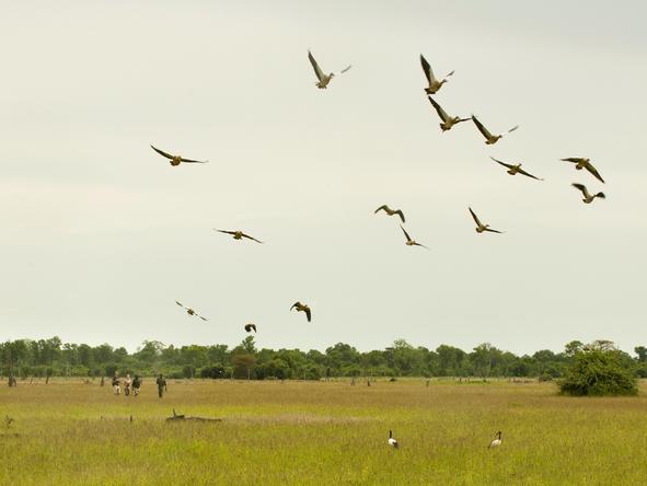 A Luangwa Family Safari