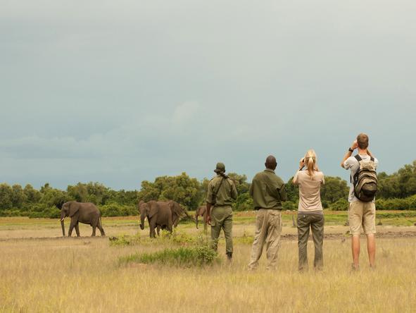 Affordable South Luangwa Safari