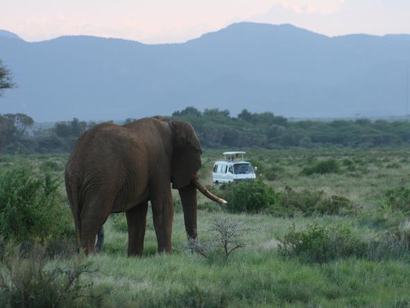 Comprehensive Kenya & Tanzania Expedition