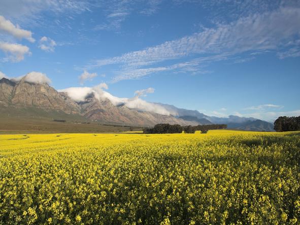 Cape Explorer Eco Holiday